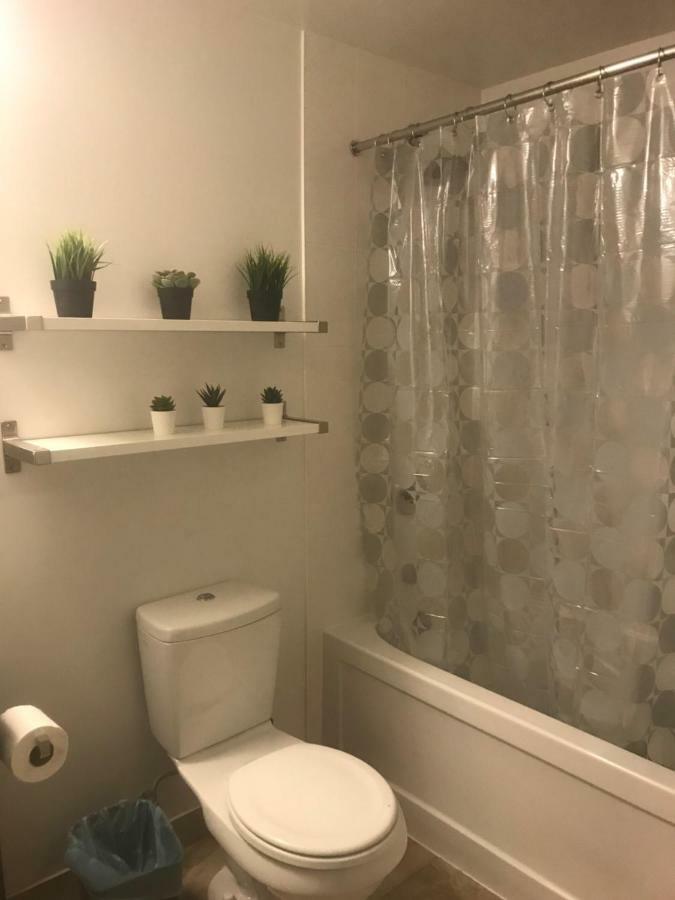 Stylish Condos טורונטו מראה חיצוני תמונה
